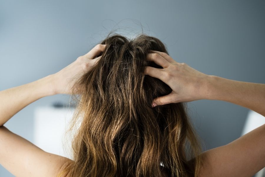 Shampoo voor Droog Haar